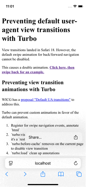 Navigate forward/back shows default iOS animation, and 2nd flash animation from view transition